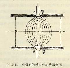 電極間的感應(yīng)電動(dòng)勢示意圖